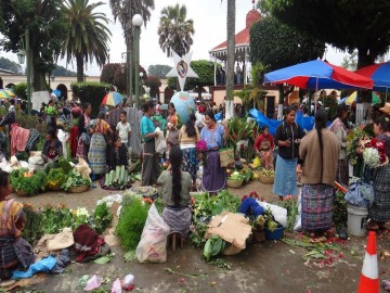 Bohemian Coyoac&aacute;n